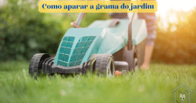 Aparar grama corretamente valoriza seu jardim, usando equipamentos adequados e técnicas que garantem gramado saudável e bonito o ano todo.